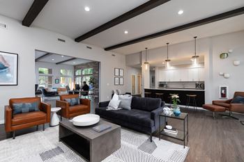 Stylish homes